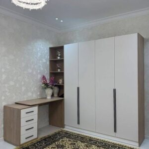 Modern closet Asaba